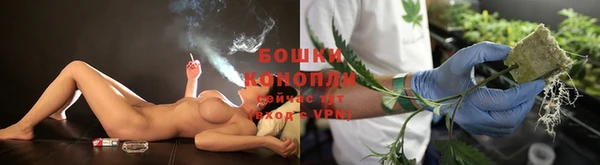 сатива Михайловск