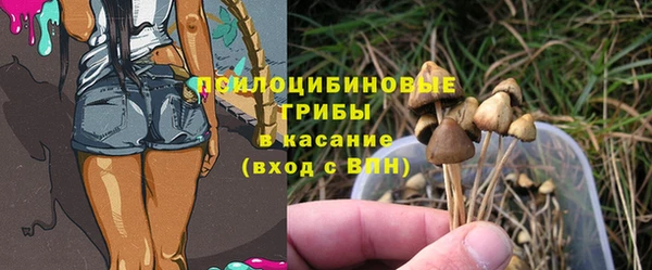 ECSTASY Заволжье