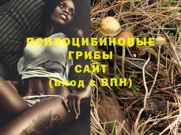 герыч Белая Холуница
